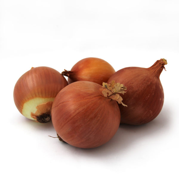 cebollas cobrizas.jpg